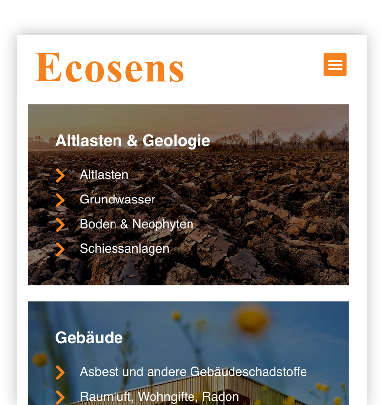 Screenshot der Website von Ecosens mit Boden, Geologie, Gebäuden, Wildblumen und Grünflächen.